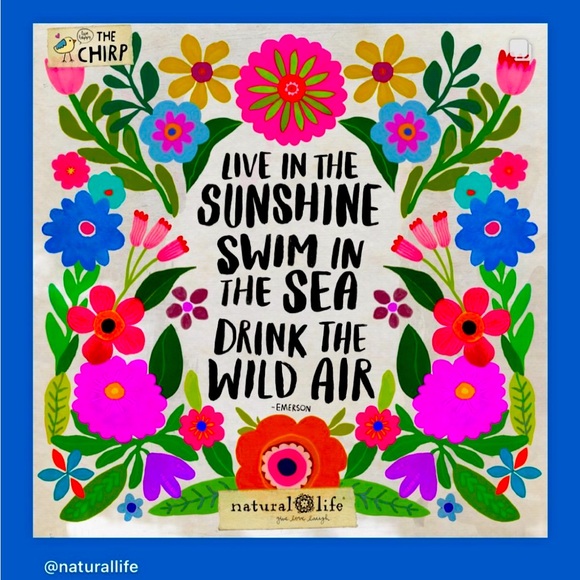 Like what you see save this listing when my store goes selling LIVE 🦜🌺🌴🦥 - Picture 2 of 3